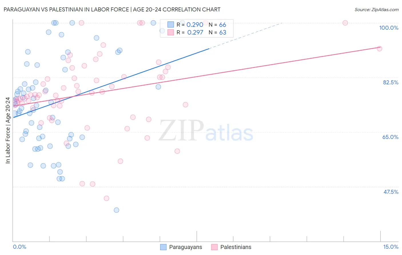 Paraguayan vs Palestinian In Labor Force | Age 20-24