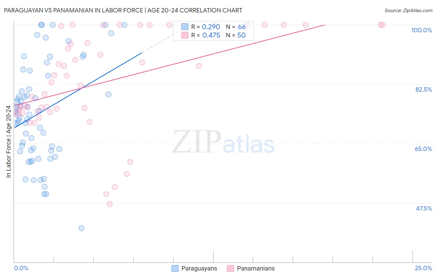 Paraguayan vs Panamanian In Labor Force | Age 20-24