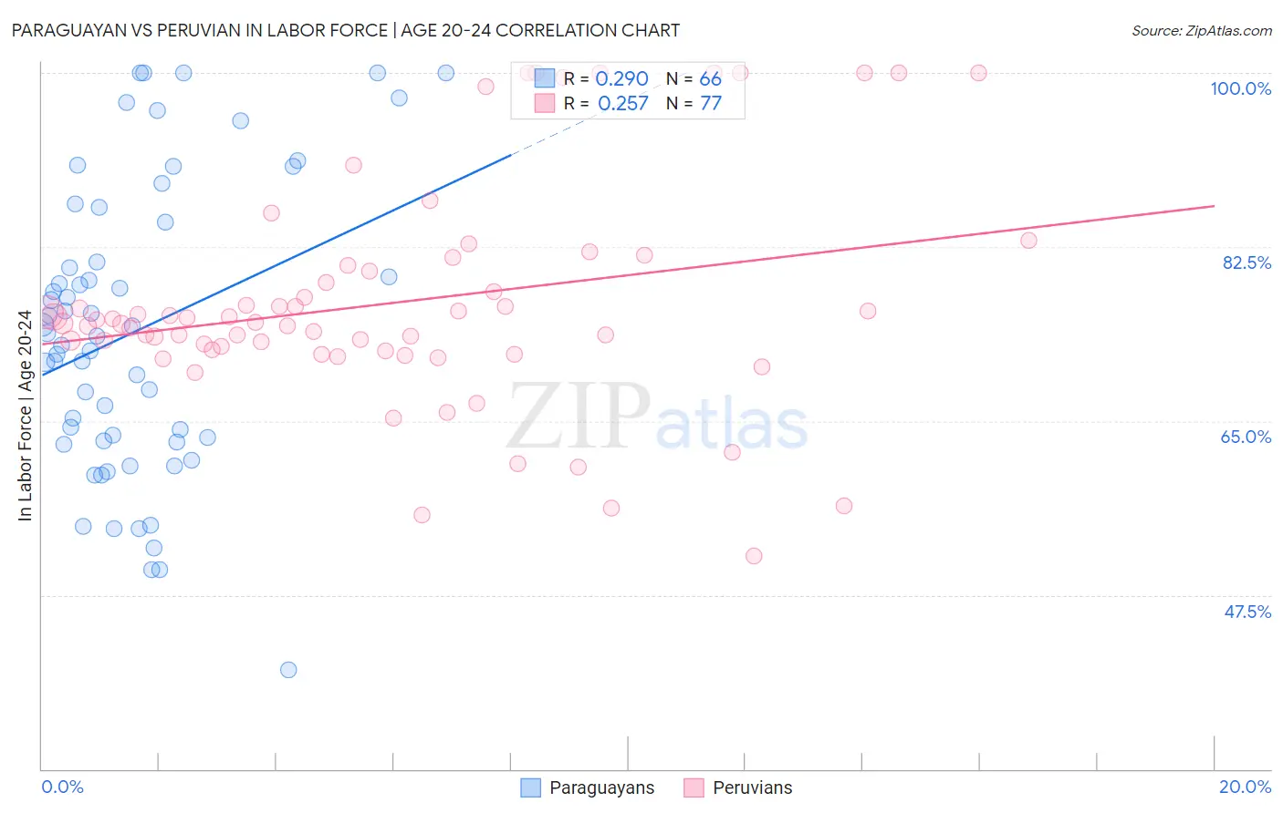 Paraguayan vs Peruvian In Labor Force | Age 20-24