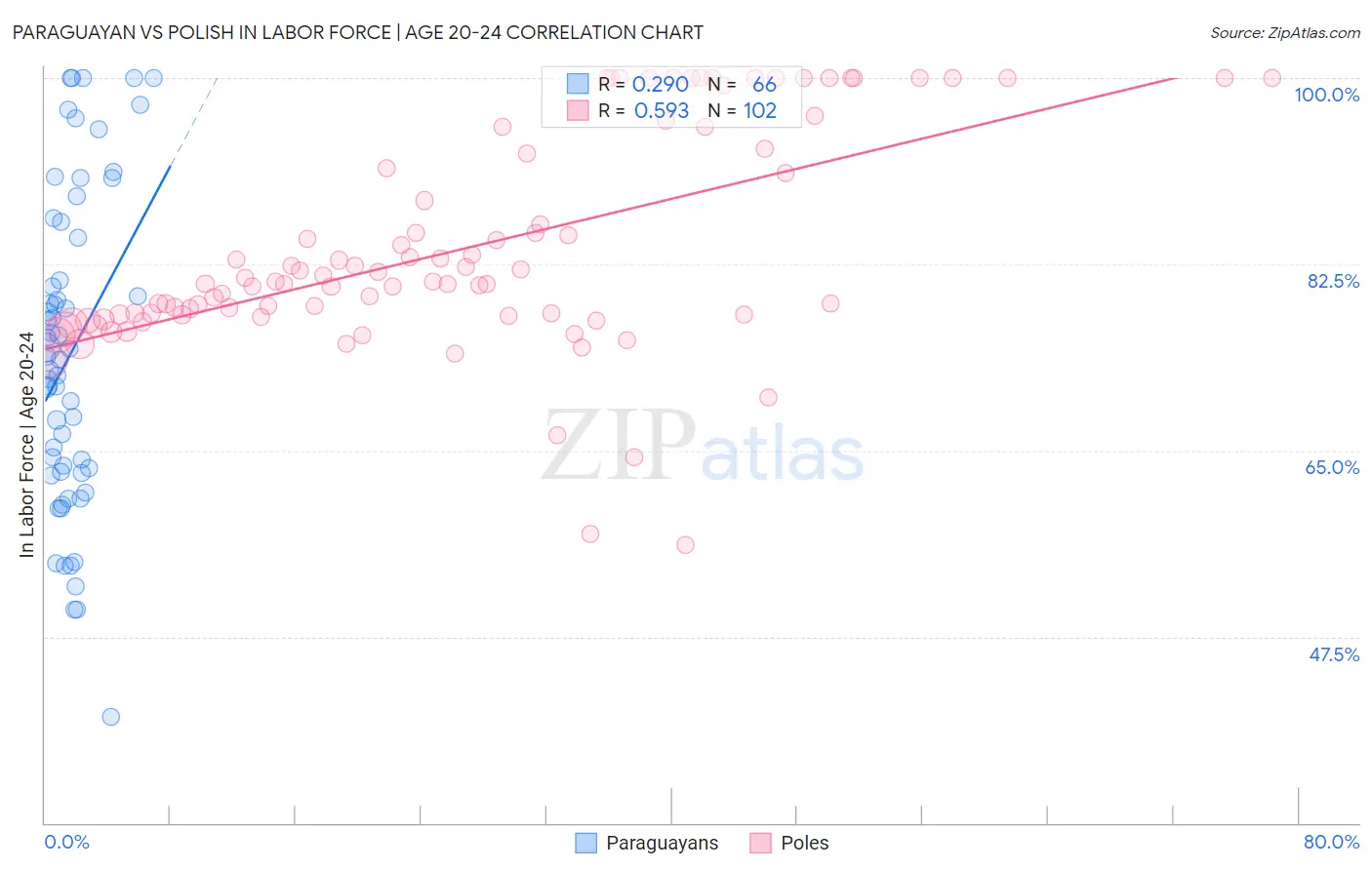 Paraguayan vs Polish In Labor Force | Age 20-24