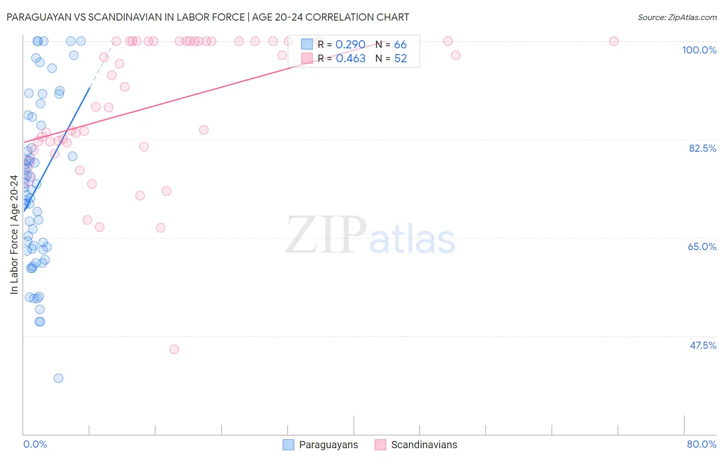 Paraguayan vs Scandinavian In Labor Force | Age 20-24