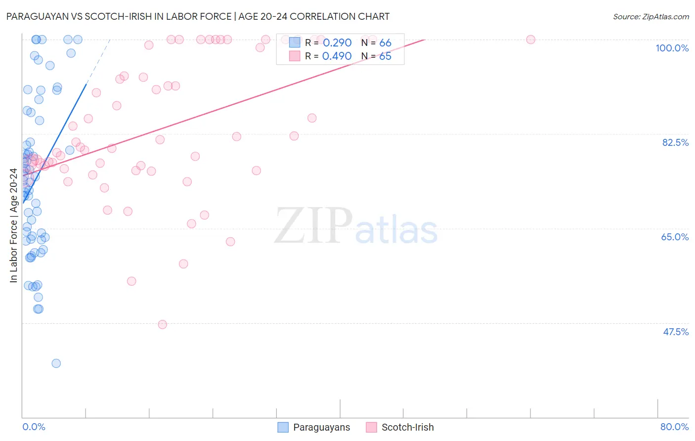 Paraguayan vs Scotch-Irish In Labor Force | Age 20-24