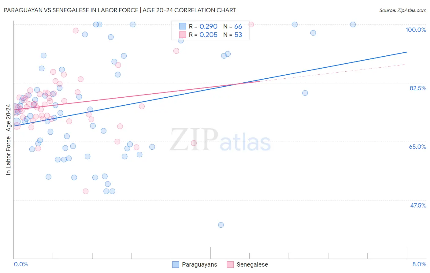 Paraguayan vs Senegalese In Labor Force | Age 20-24