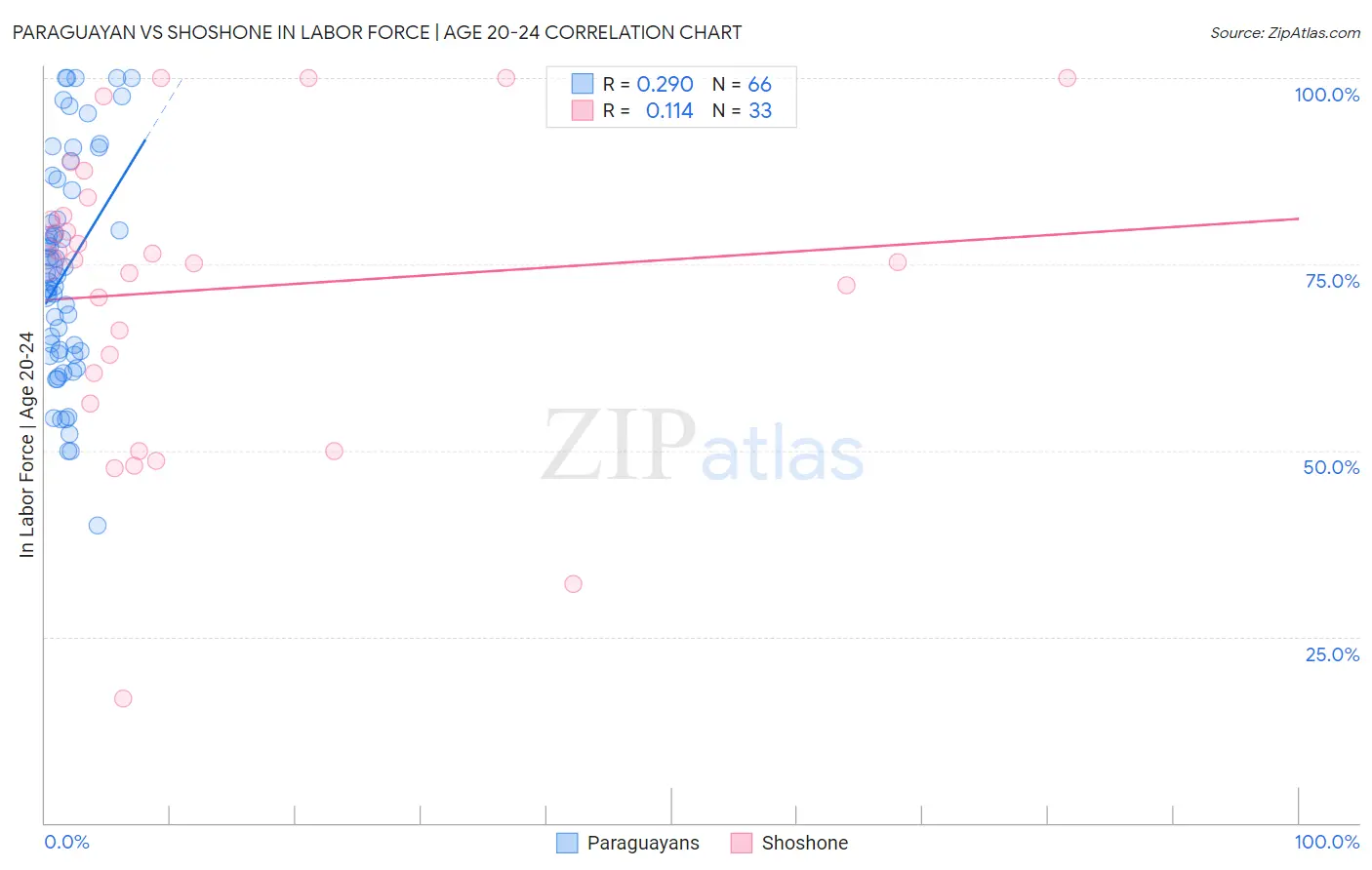 Paraguayan vs Shoshone In Labor Force | Age 20-24