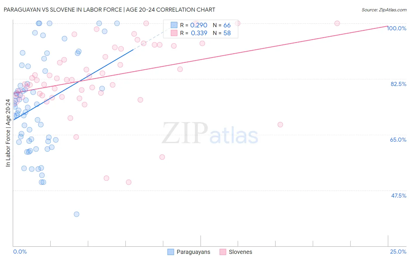 Paraguayan vs Slovene In Labor Force | Age 20-24