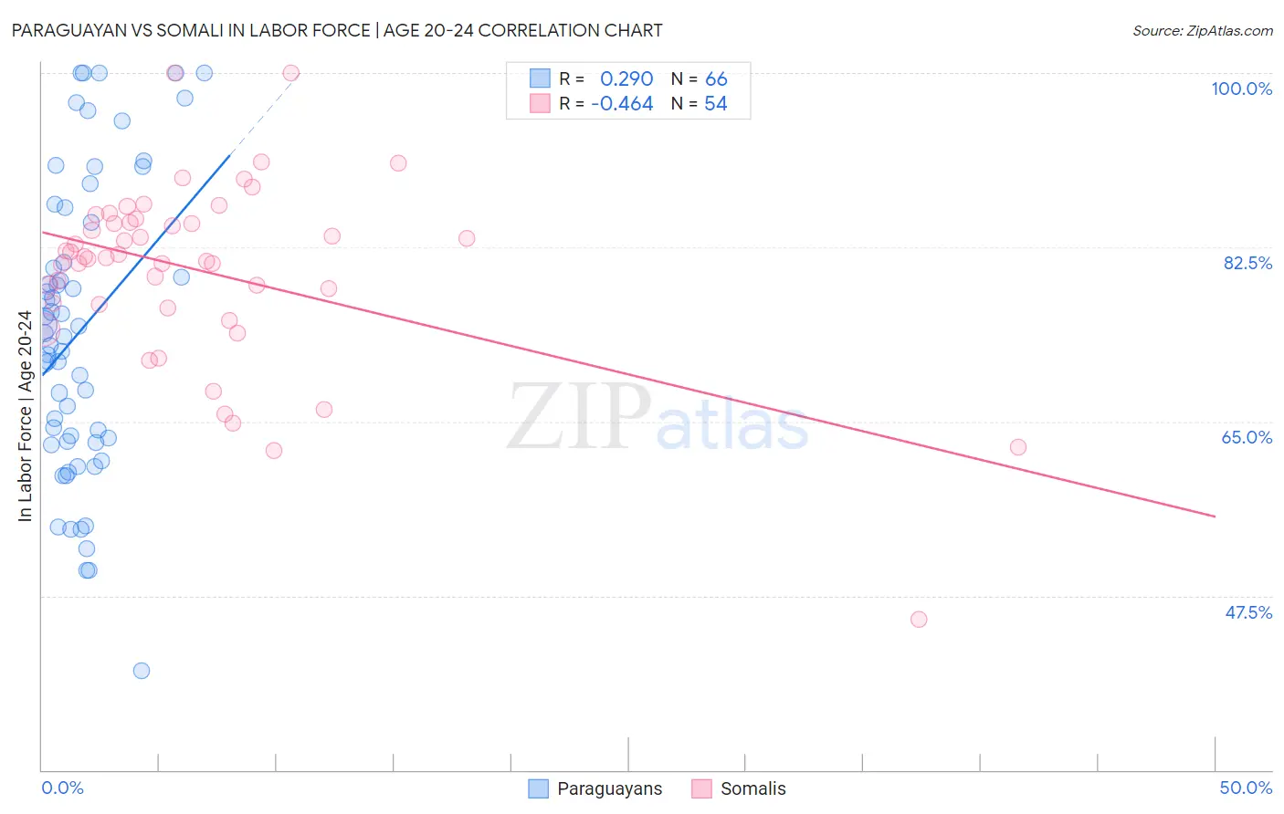 Paraguayan vs Somali In Labor Force | Age 20-24