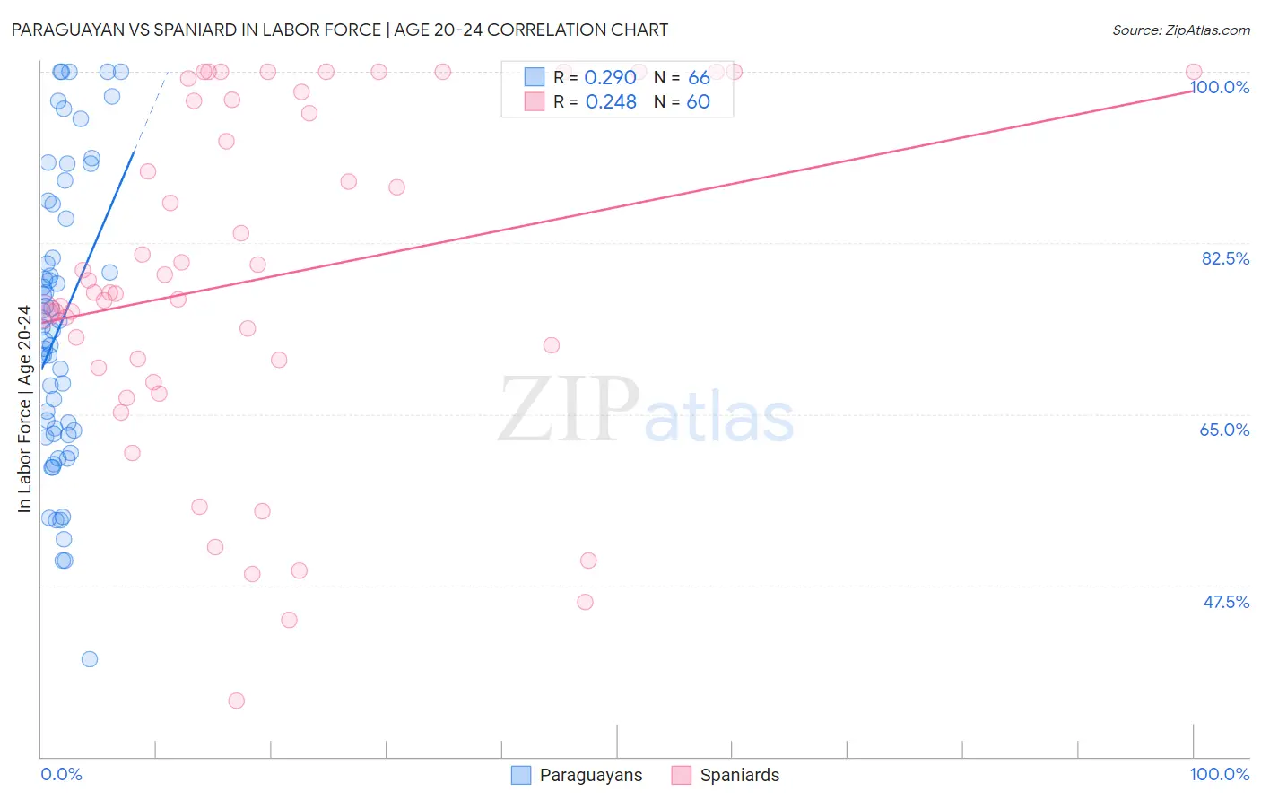 Paraguayan vs Spaniard In Labor Force | Age 20-24