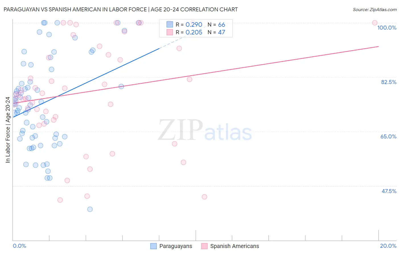 Paraguayan vs Spanish American In Labor Force | Age 20-24