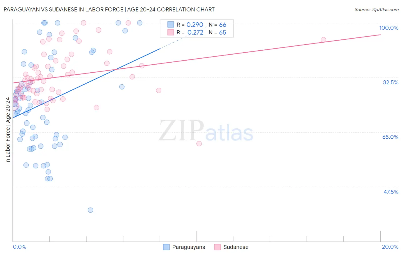 Paraguayan vs Sudanese In Labor Force | Age 20-24