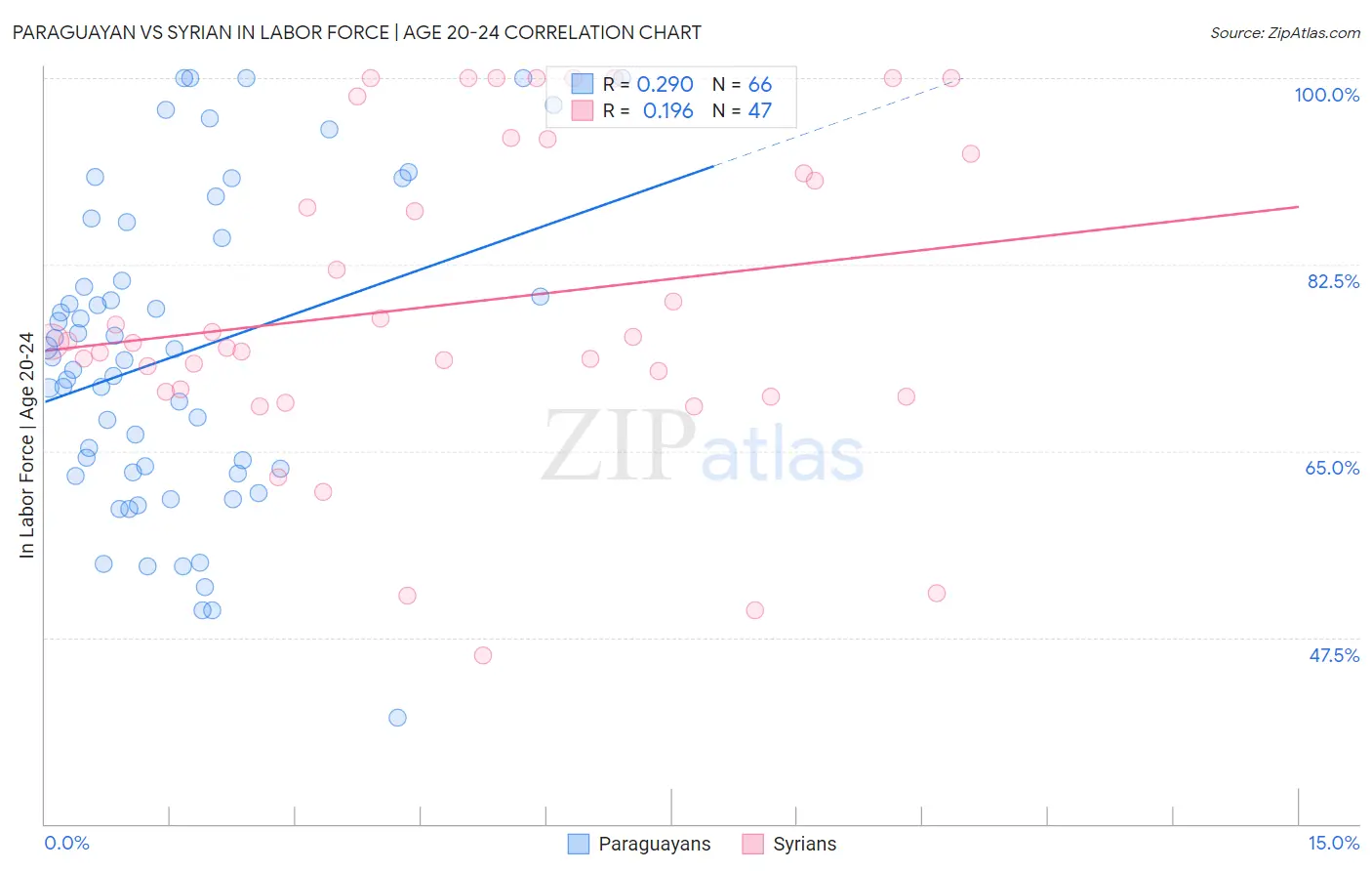 Paraguayan vs Syrian In Labor Force | Age 20-24