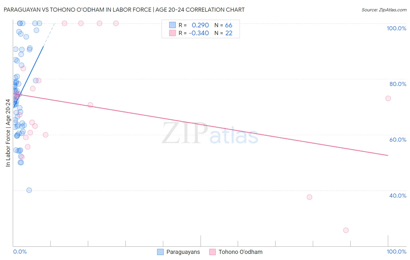 Paraguayan vs Tohono O'odham In Labor Force | Age 20-24