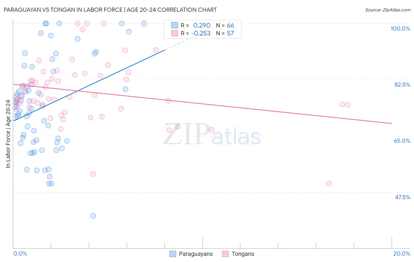 Paraguayan vs Tongan In Labor Force | Age 20-24