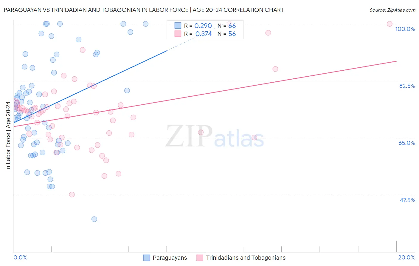 Paraguayan vs Trinidadian and Tobagonian In Labor Force | Age 20-24