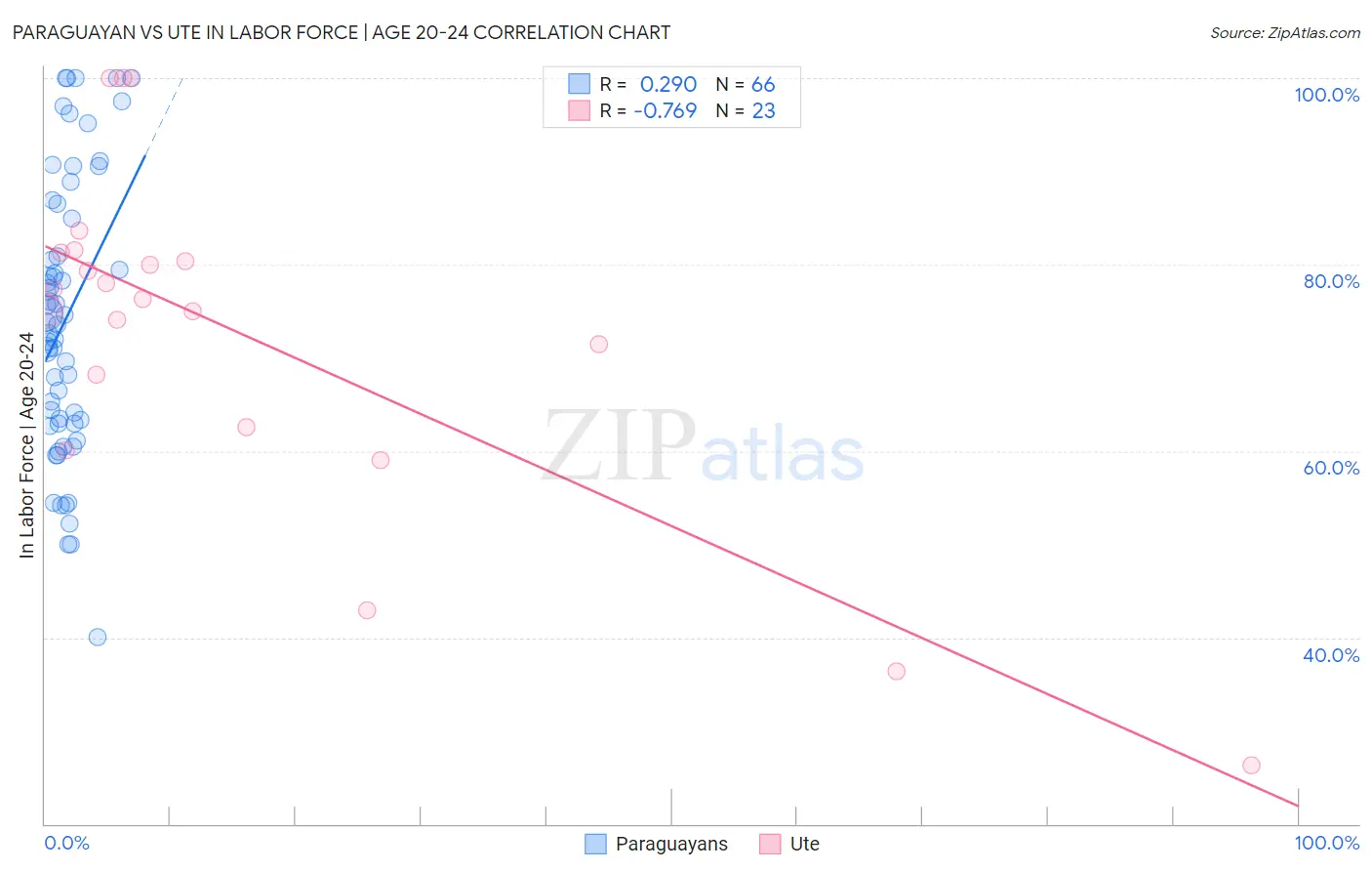 Paraguayan vs Ute In Labor Force | Age 20-24