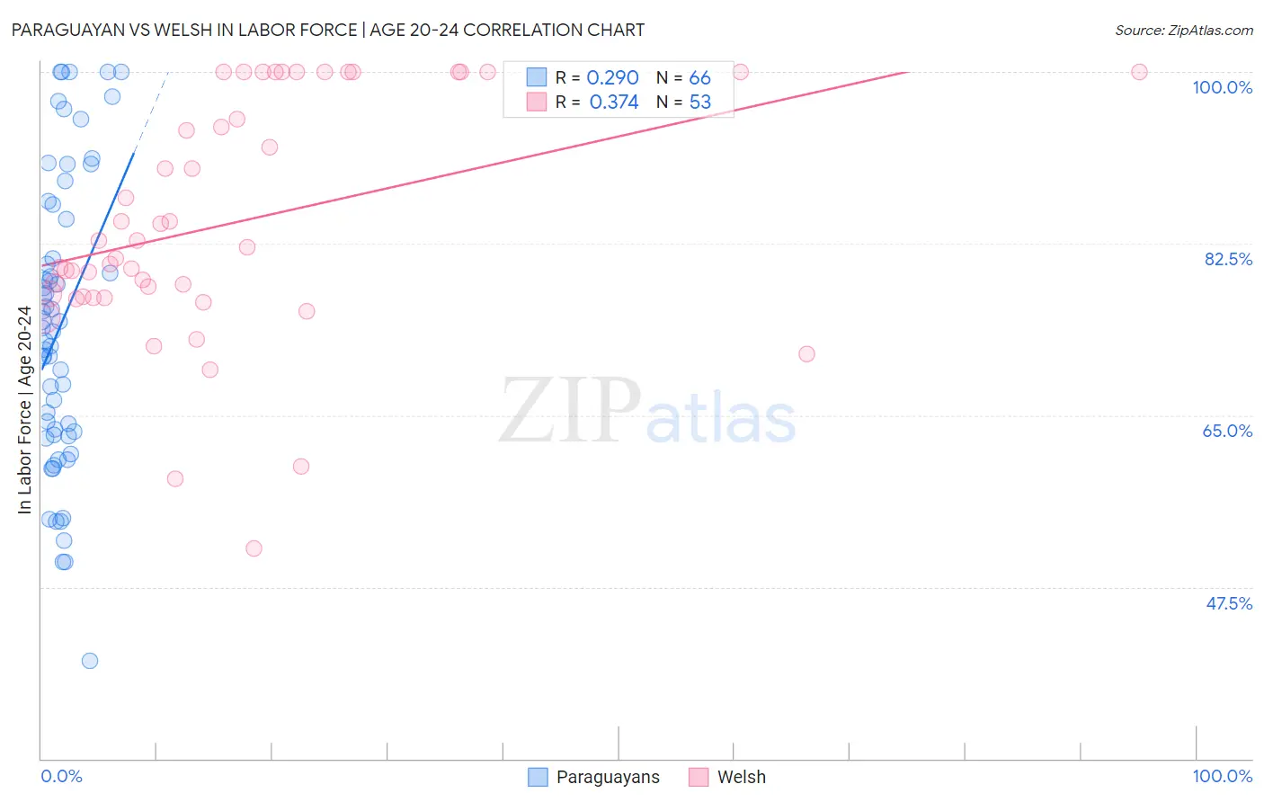 Paraguayan vs Welsh In Labor Force | Age 20-24