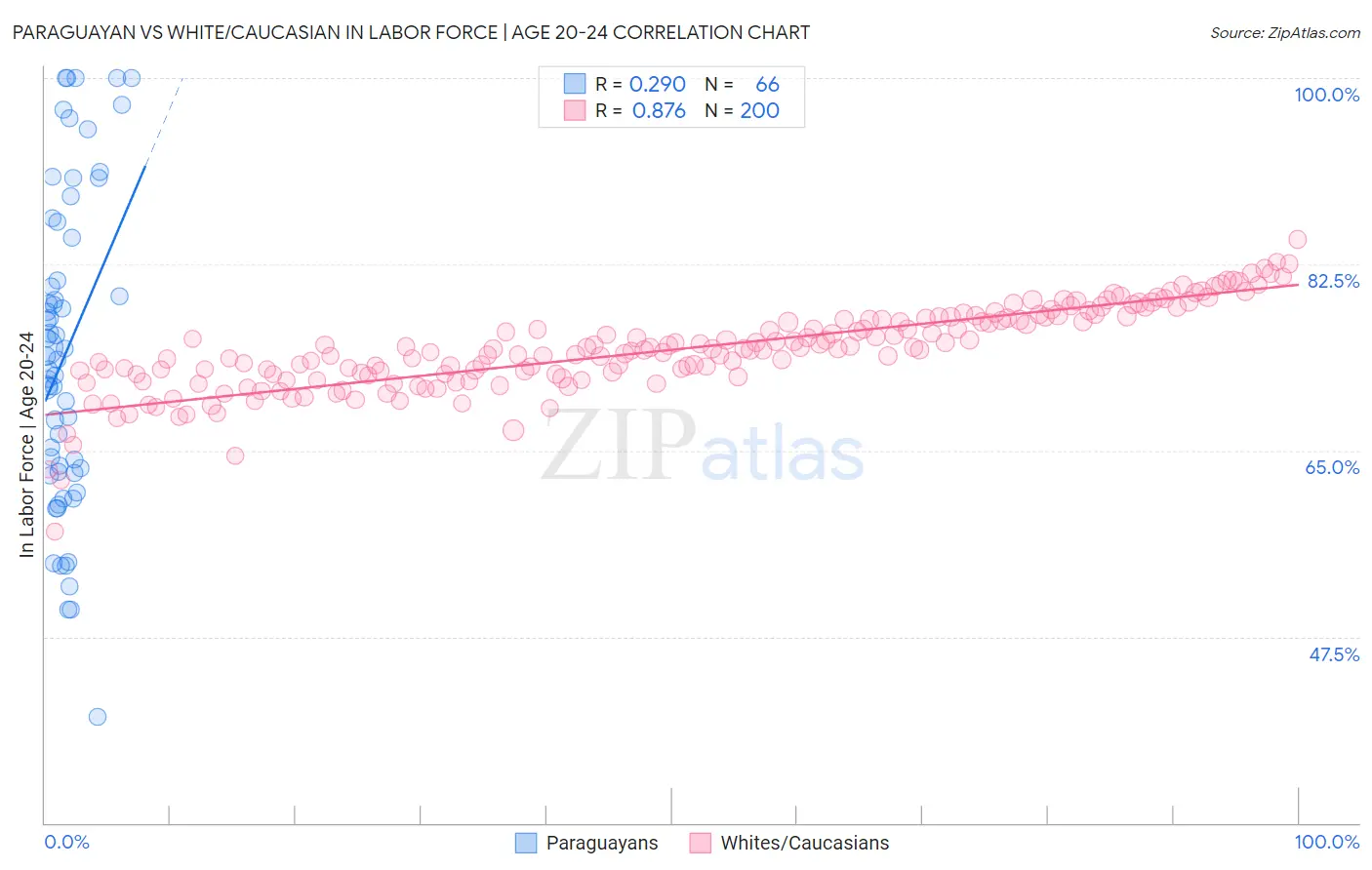 Paraguayan vs White/Caucasian In Labor Force | Age 20-24