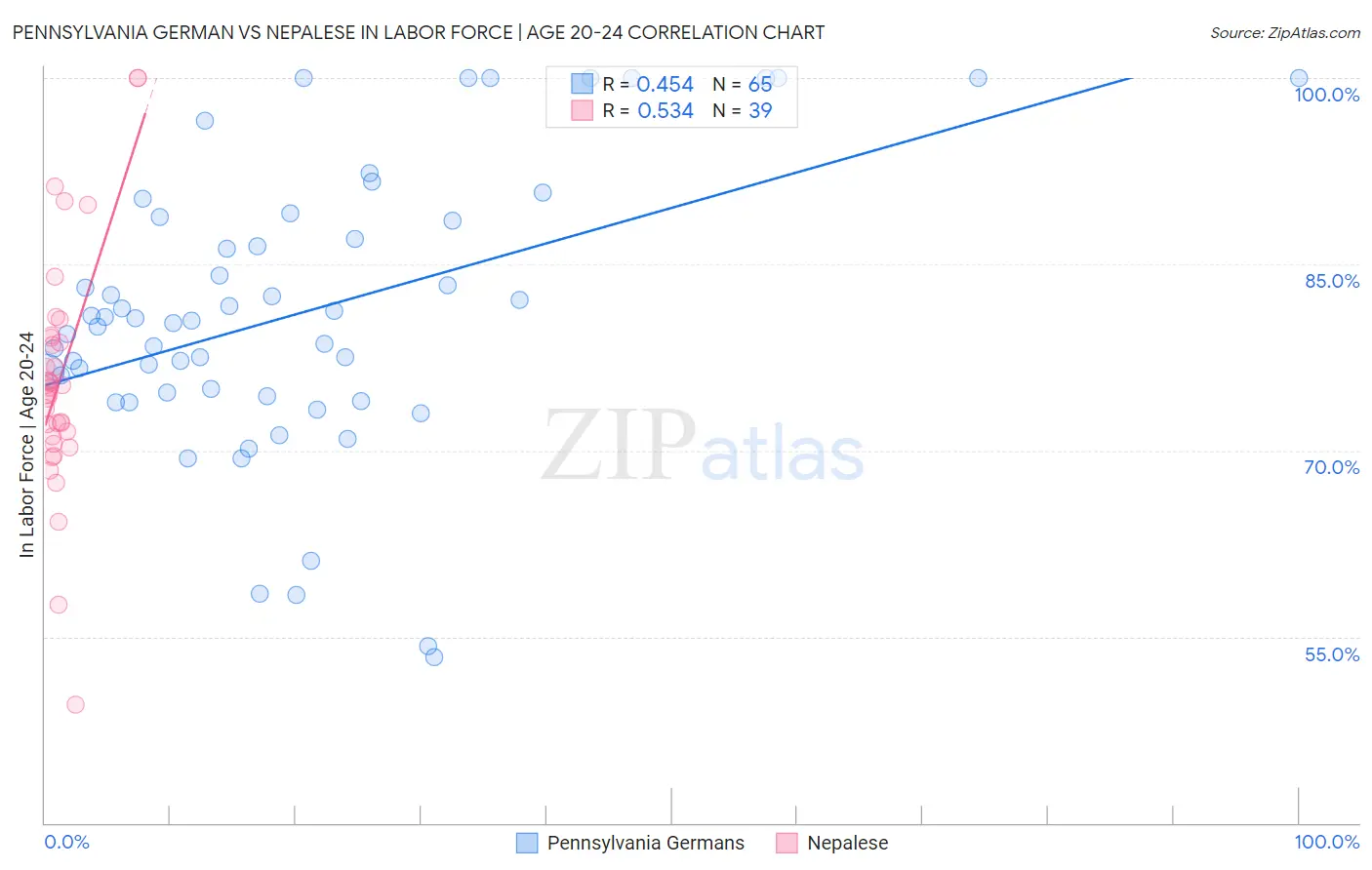 Pennsylvania German vs Nepalese In Labor Force | Age 20-24