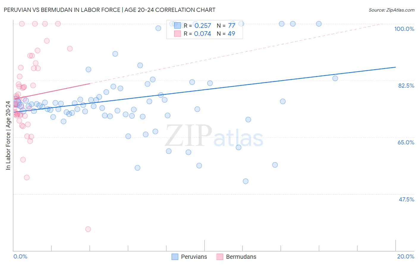 Peruvian vs Bermudan In Labor Force | Age 20-24