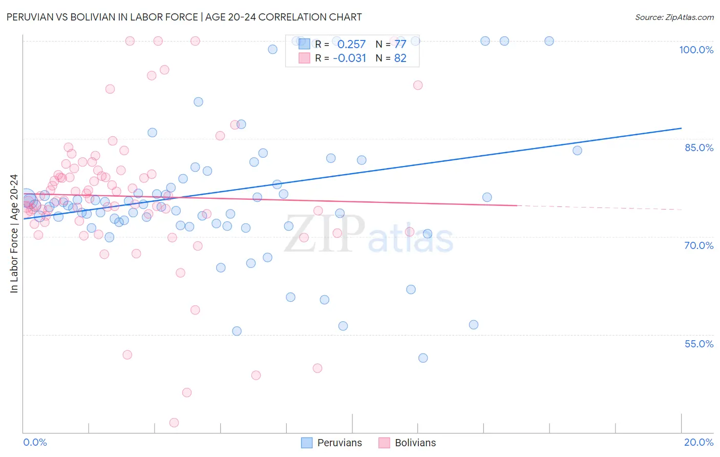 Peruvian vs Bolivian In Labor Force | Age 20-24