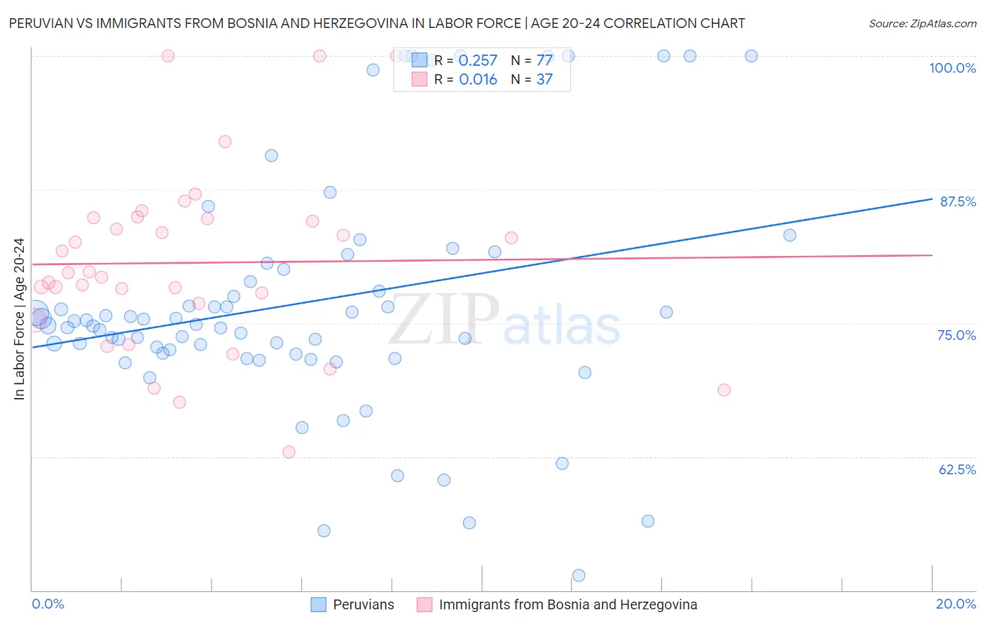 Peruvian vs Immigrants from Bosnia and Herzegovina In Labor Force | Age 20-24