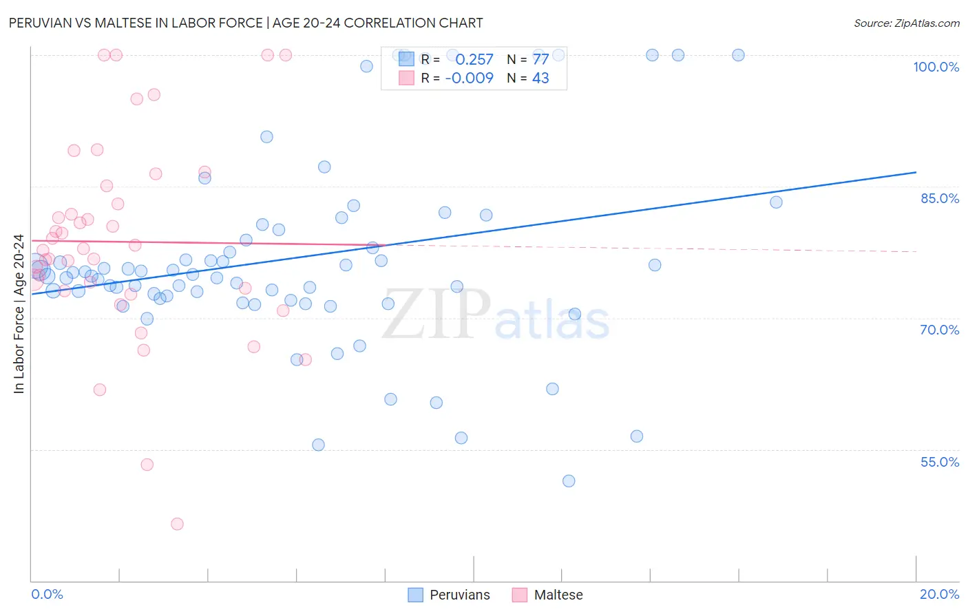 Peruvian vs Maltese In Labor Force | Age 20-24