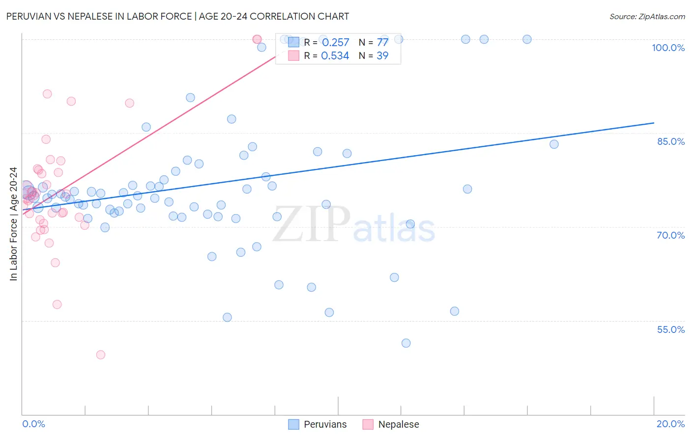 Peruvian vs Nepalese In Labor Force | Age 20-24