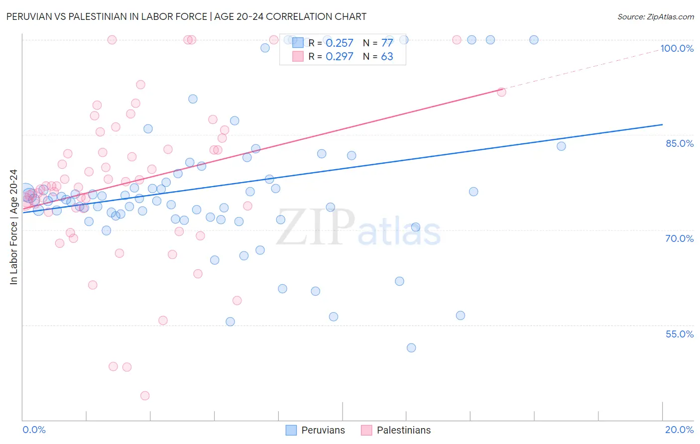 Peruvian vs Palestinian In Labor Force | Age 20-24