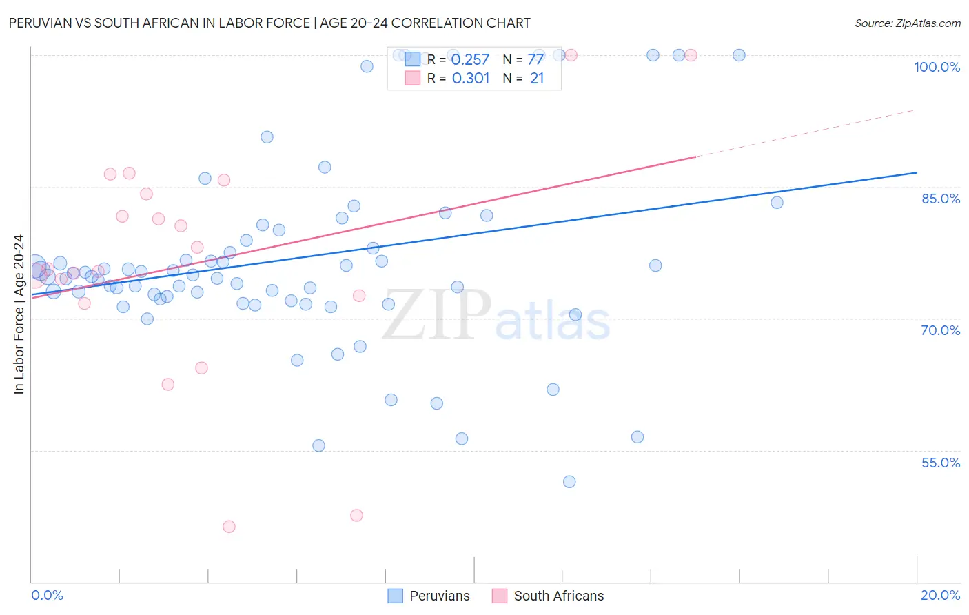Peruvian vs South African In Labor Force | Age 20-24