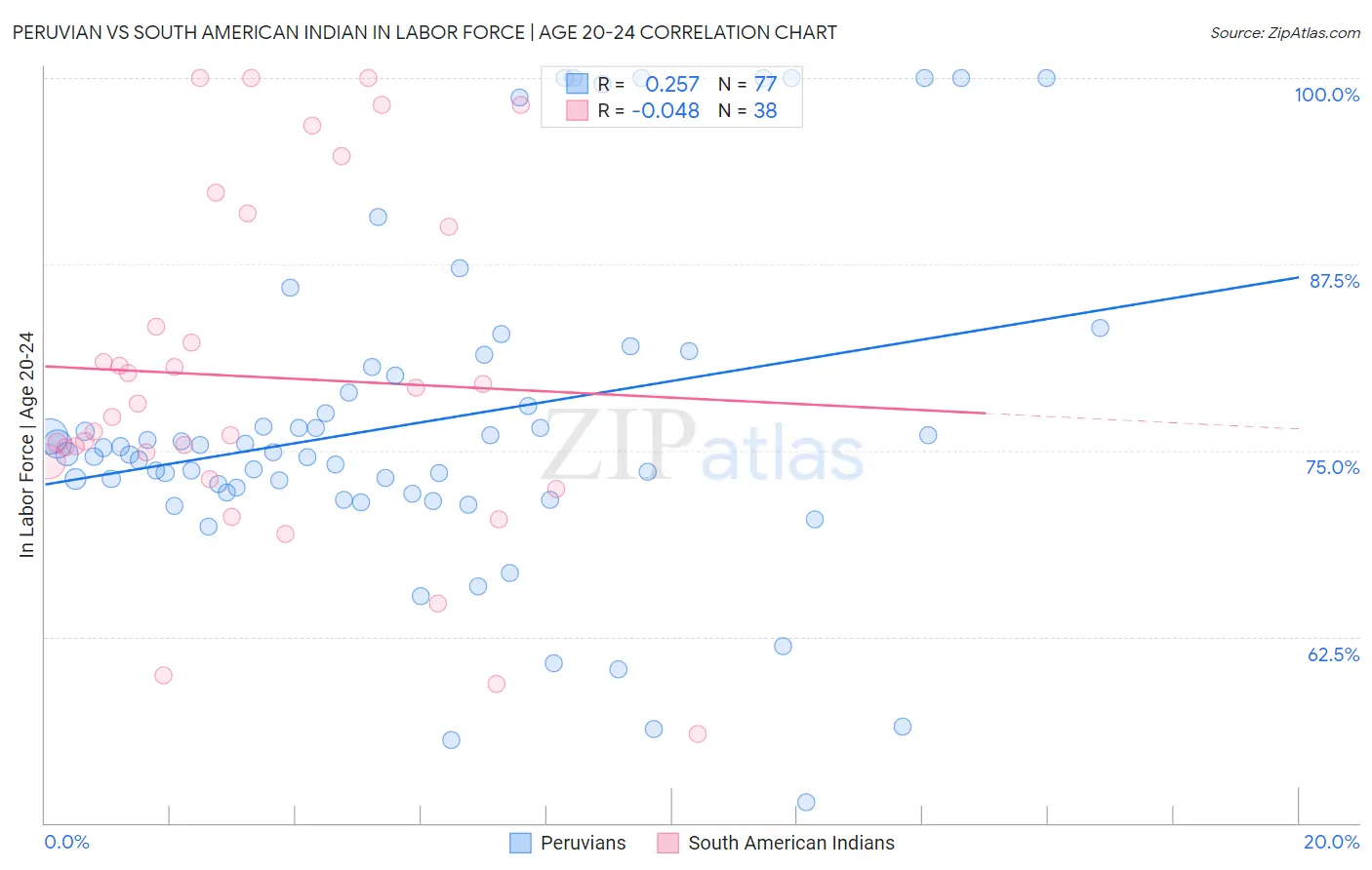 Peruvian vs South American Indian In Labor Force | Age 20-24