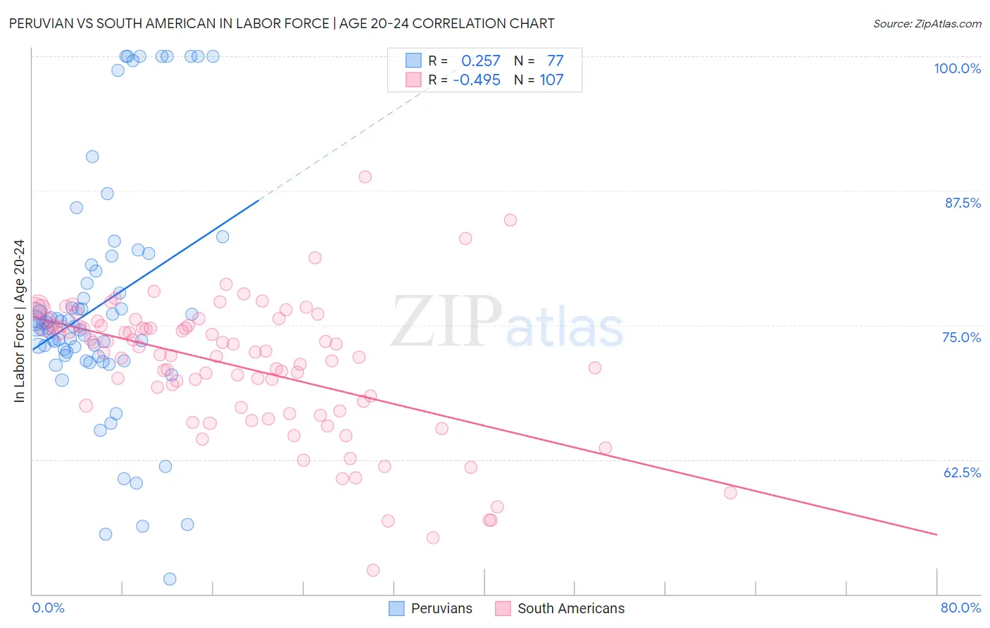 Peruvian vs South American In Labor Force | Age 20-24