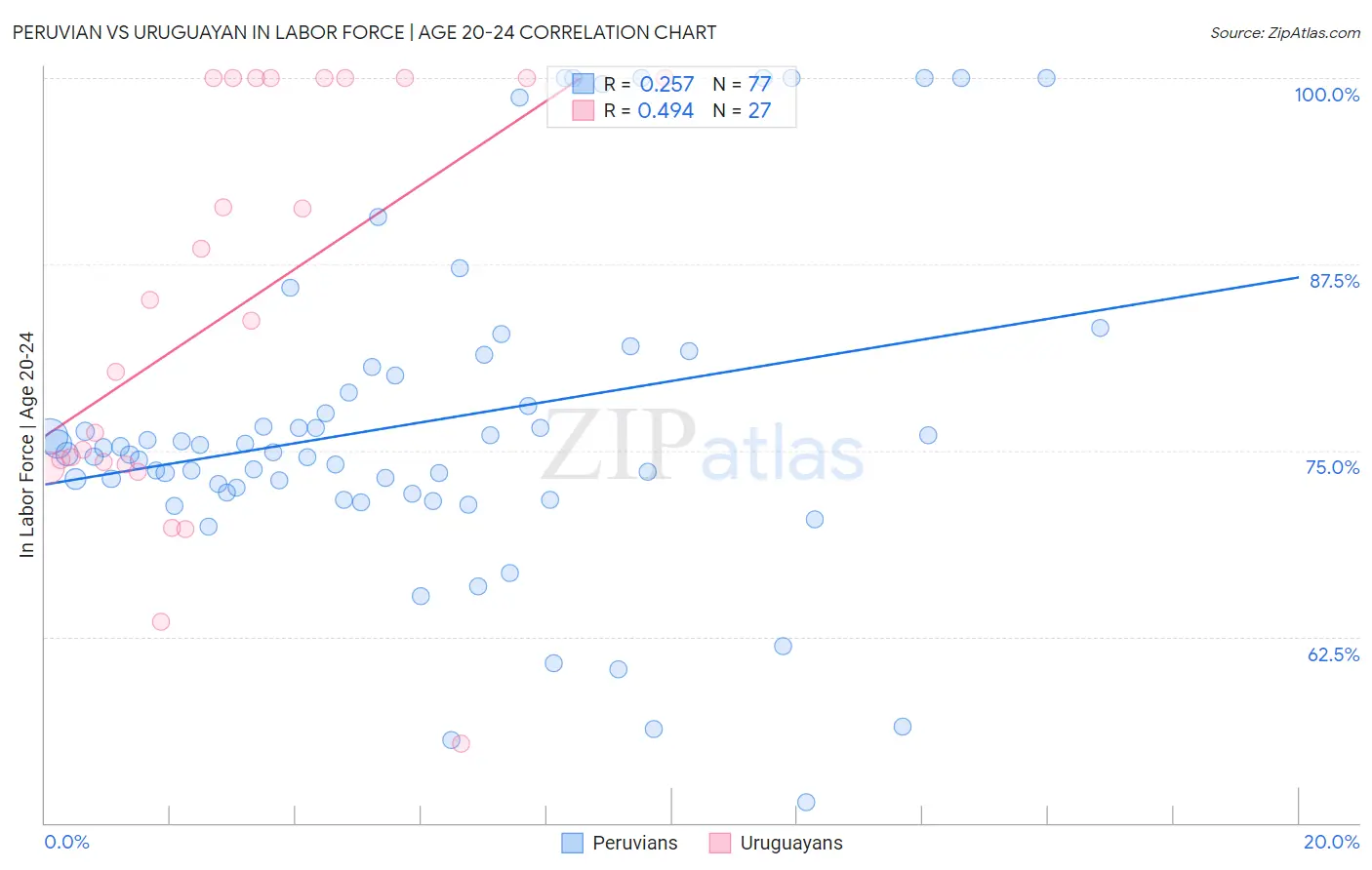 Peruvian vs Uruguayan In Labor Force | Age 20-24