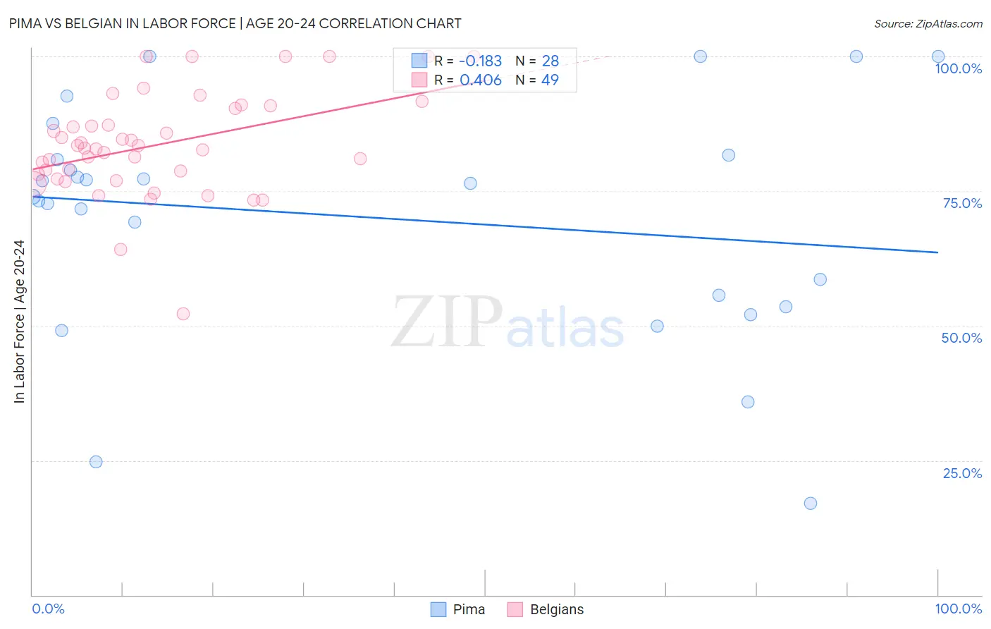 Pima vs Belgian In Labor Force | Age 20-24