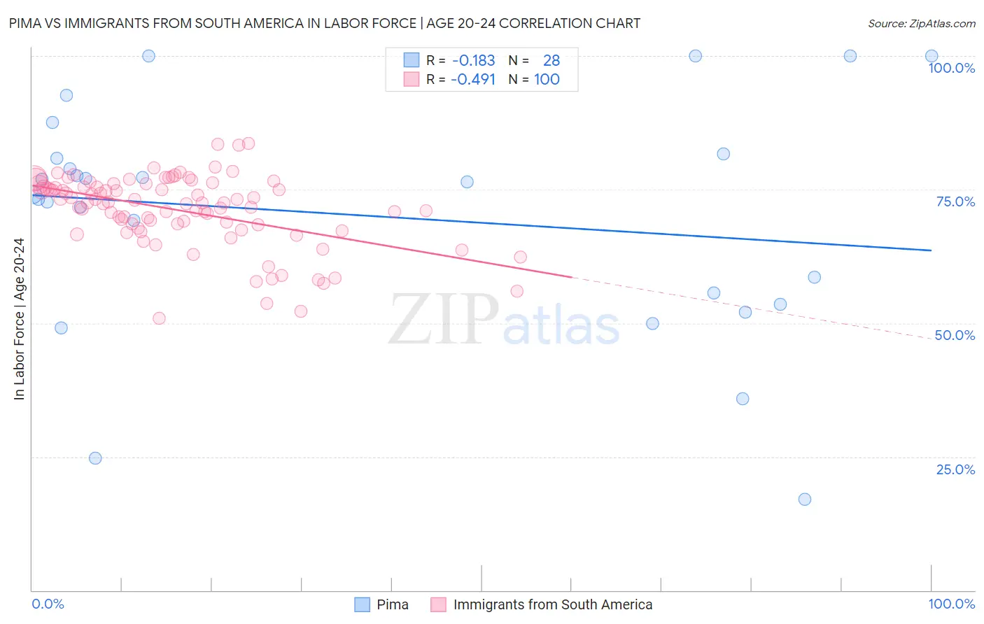 Pima vs Immigrants from South America In Labor Force | Age 20-24