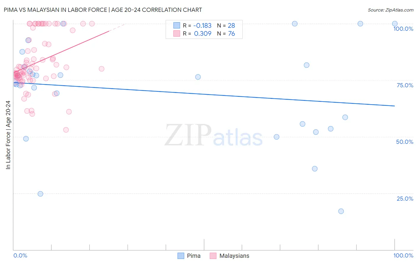 Pima vs Malaysian In Labor Force | Age 20-24