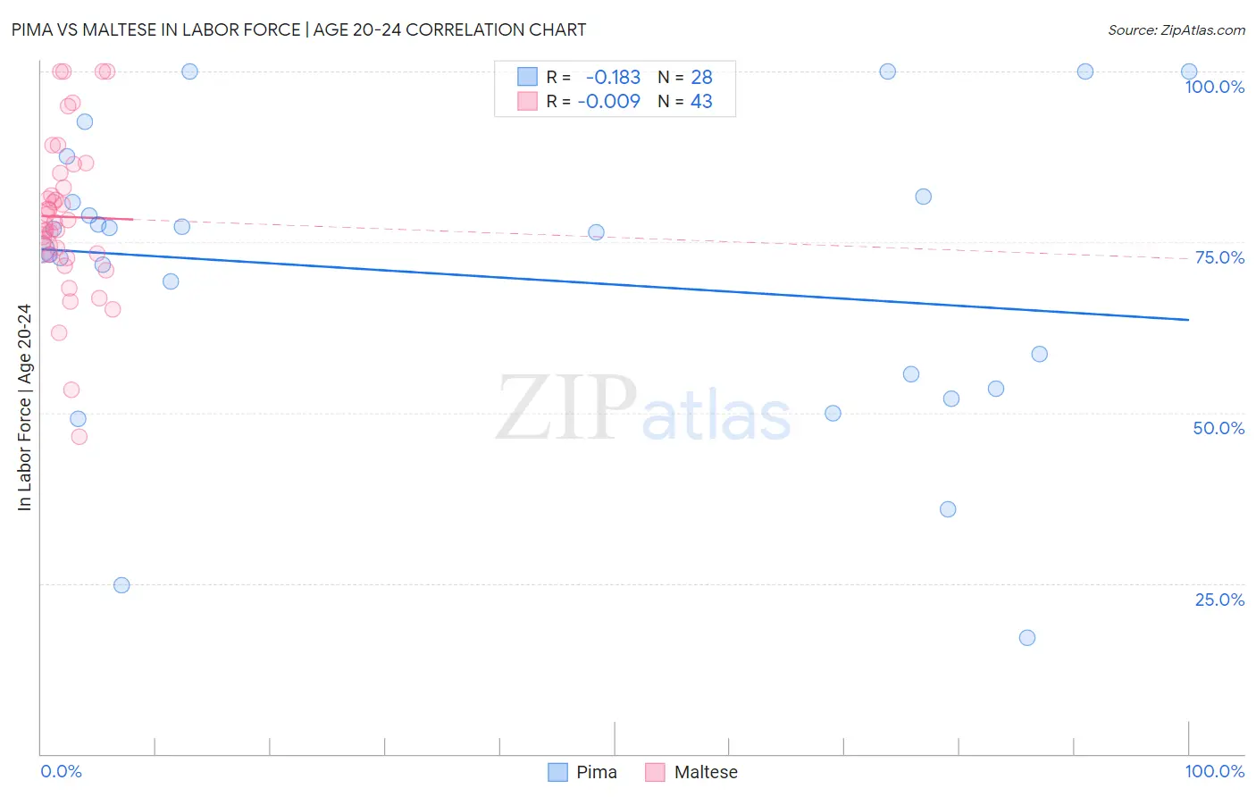 Pima vs Maltese In Labor Force | Age 20-24