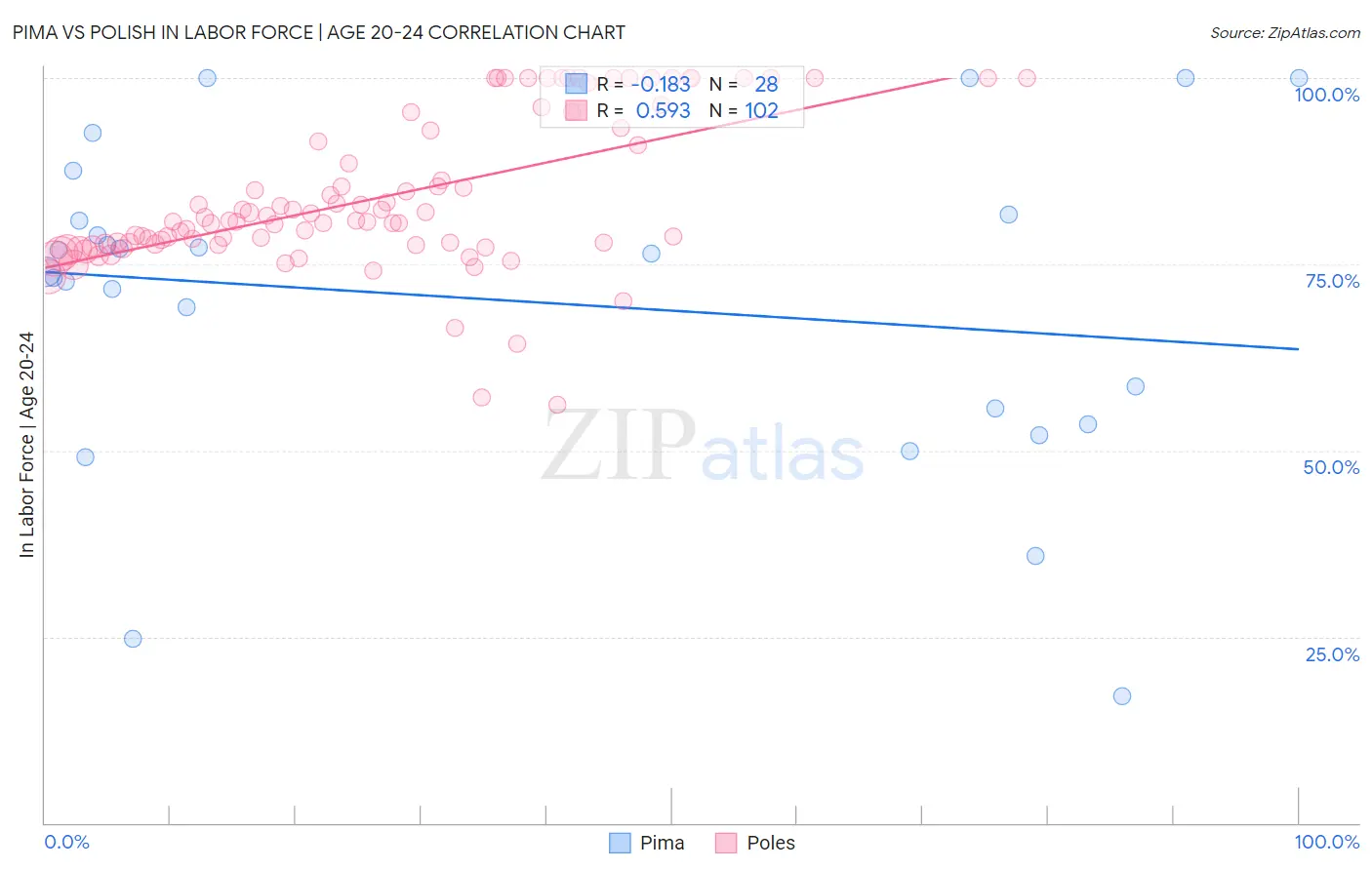 Pima vs Polish In Labor Force | Age 20-24