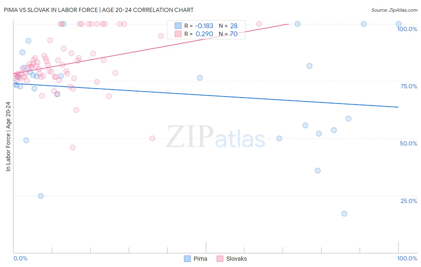 Pima vs Slovak In Labor Force | Age 20-24