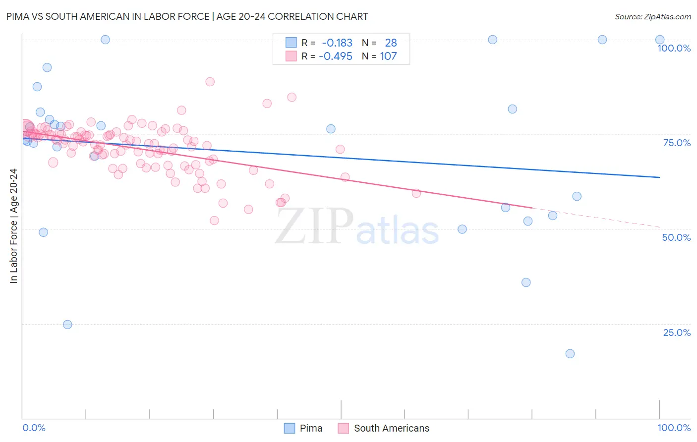 Pima vs South American In Labor Force | Age 20-24