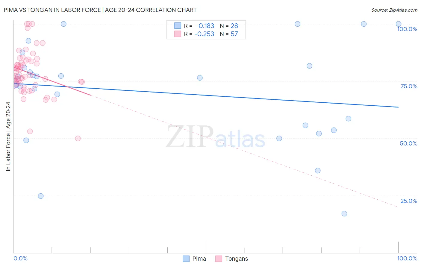 Pima vs Tongan In Labor Force | Age 20-24