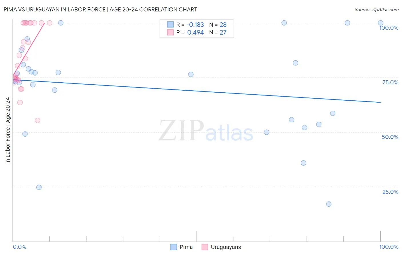 Pima vs Uruguayan In Labor Force | Age 20-24