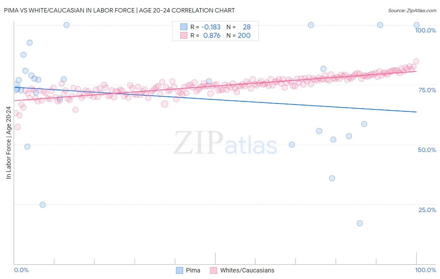 Pima vs White/Caucasian In Labor Force | Age 20-24