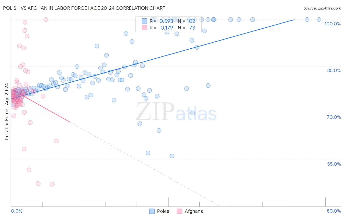 Polish vs Afghan In Labor Force | Age 20-24