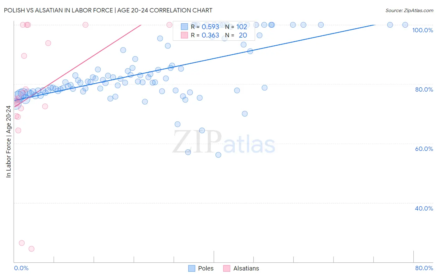 Polish vs Alsatian In Labor Force | Age 20-24