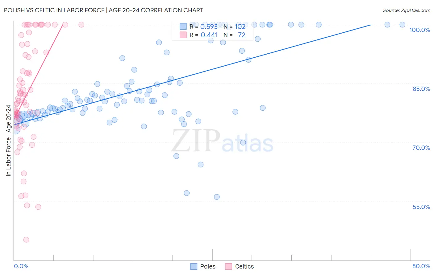 Polish vs Celtic In Labor Force | Age 20-24