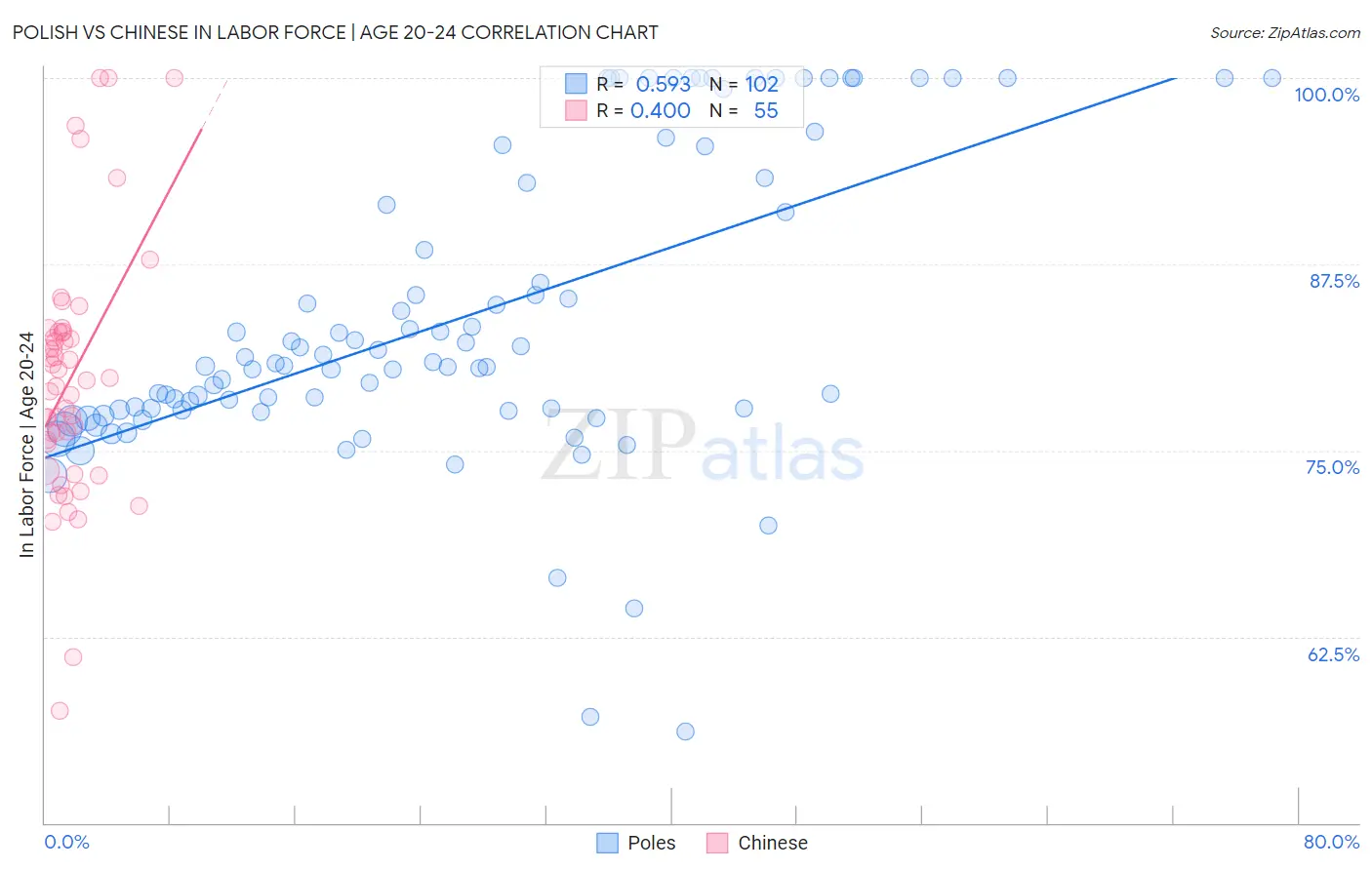 Polish vs Chinese In Labor Force | Age 20-24