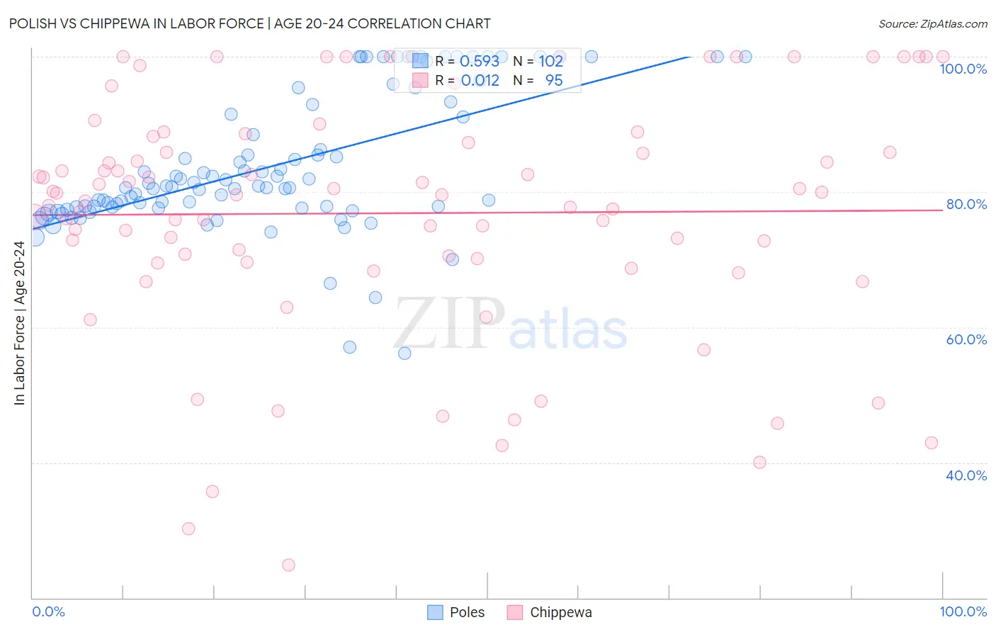 Polish vs Chippewa In Labor Force | Age 20-24