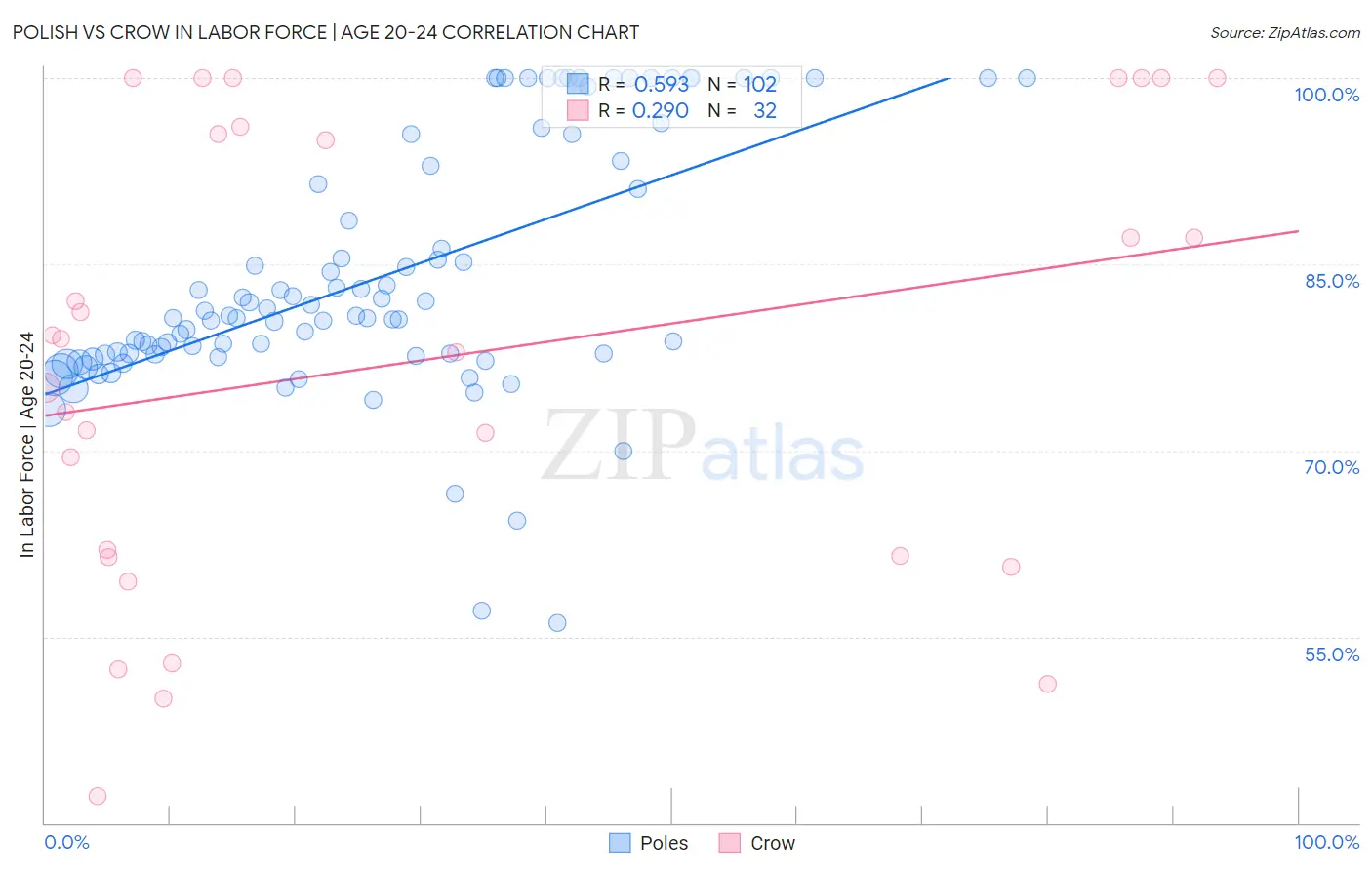 Polish vs Crow In Labor Force | Age 20-24
