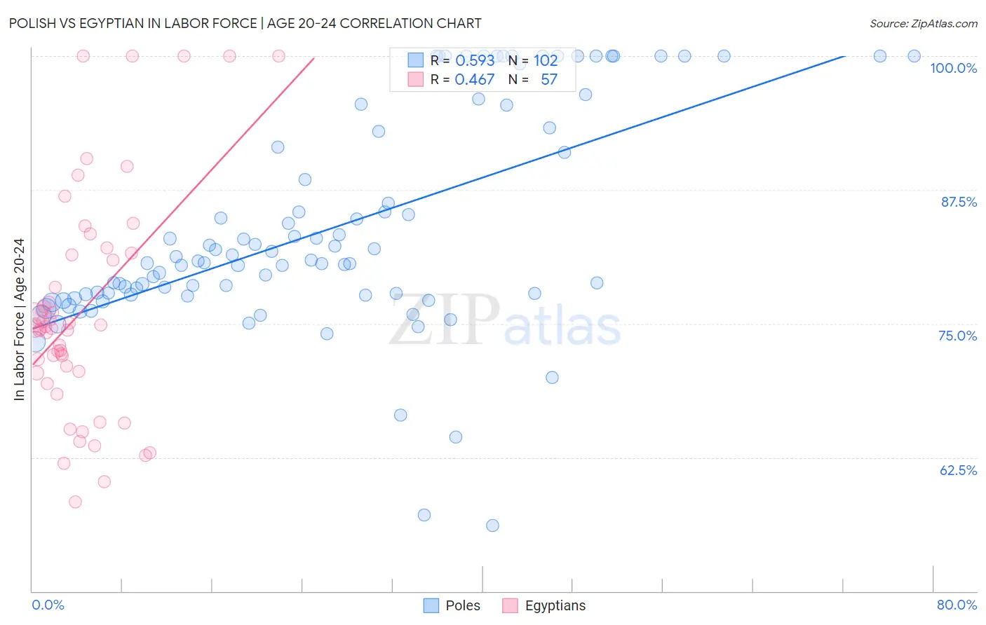 Polish vs Egyptian In Labor Force | Age 20-24