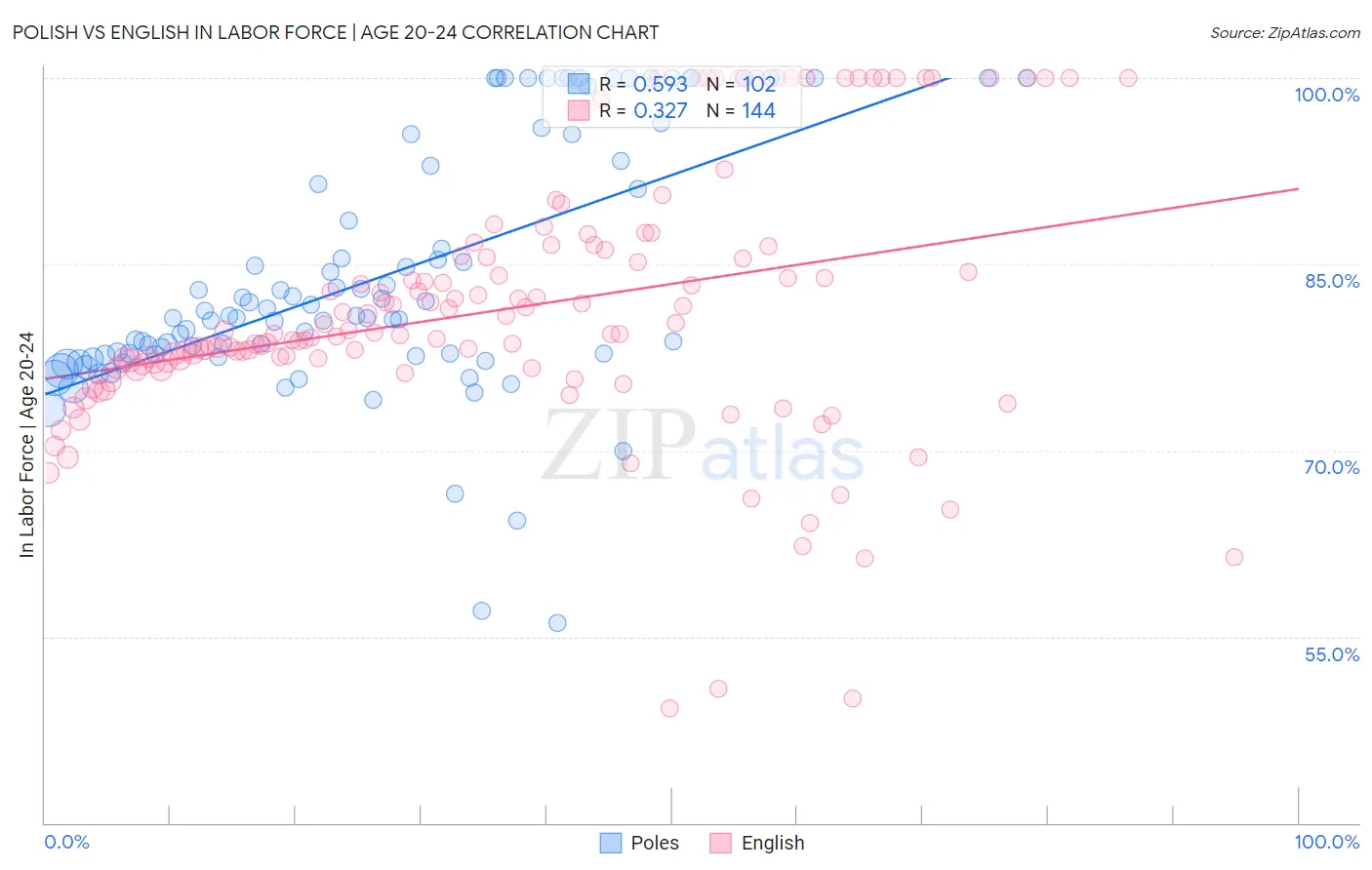 Polish vs English In Labor Force | Age 20-24