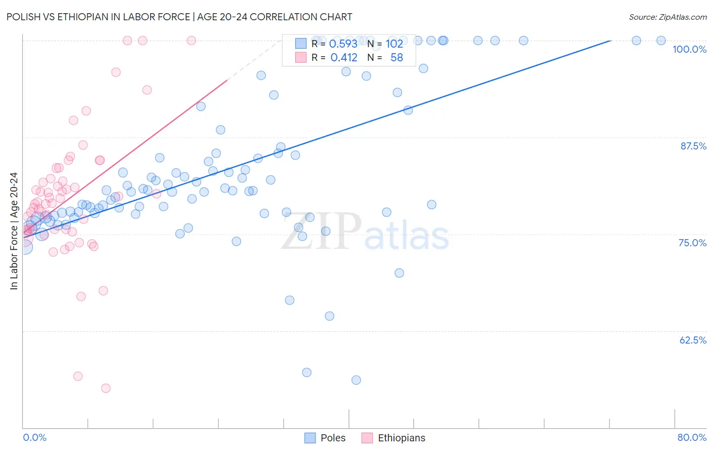 Polish vs Ethiopian In Labor Force | Age 20-24